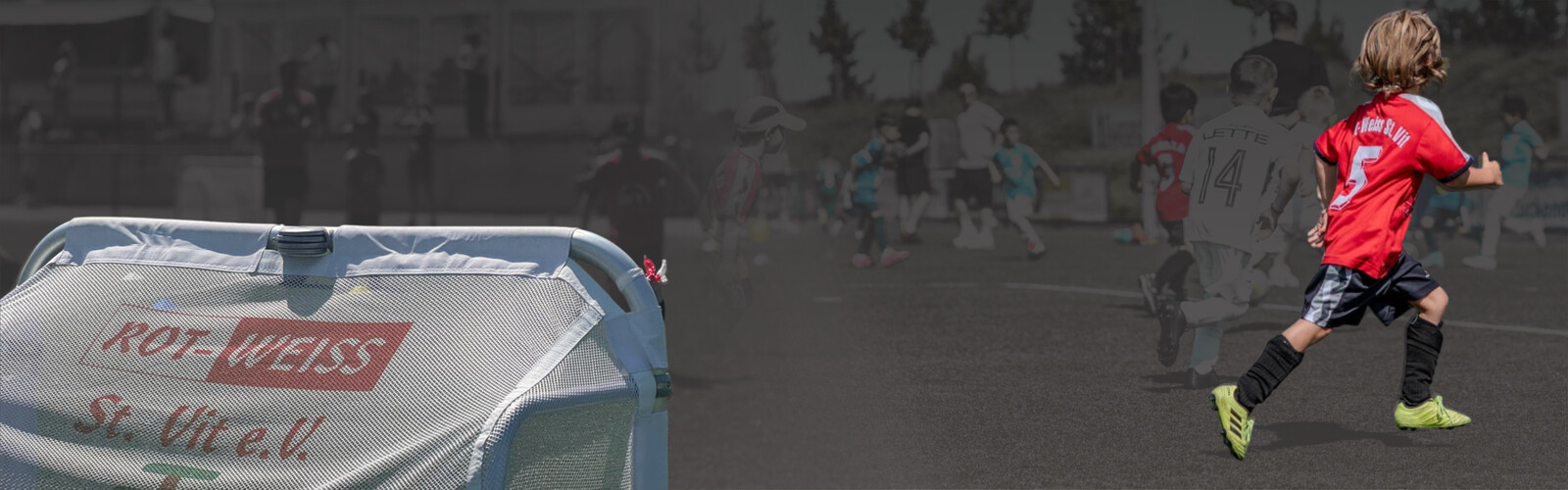 Header-Bild auf Seite Verein